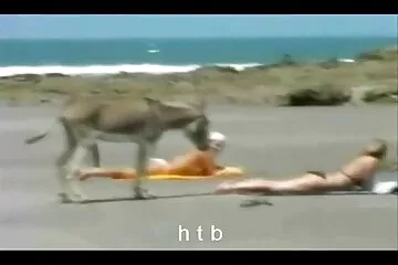 A mostohafiú elvonja a mostohaanyát a takarítástól és hátulról a punciba szopos puncik dugja.