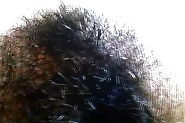 Apa kibaszott hazi porno videok lány kurvát a kanapén titokban anyától.